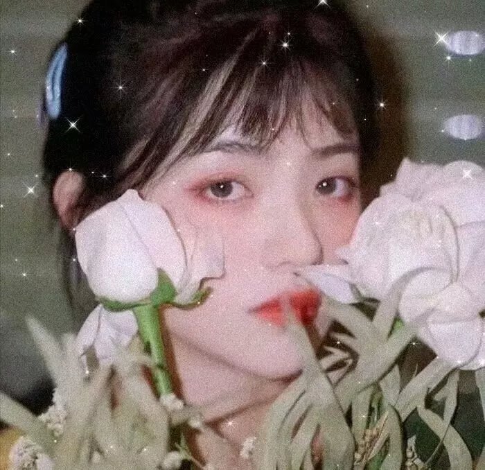 荒凉幻境海报